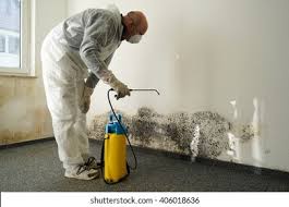 Professional Mold Remediation in West Falls Church, VA